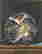 item-137351790=4