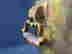 item-137352362=7