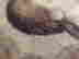 item-137466170=3