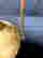 item-137466398=6