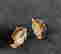 item-137556646=2