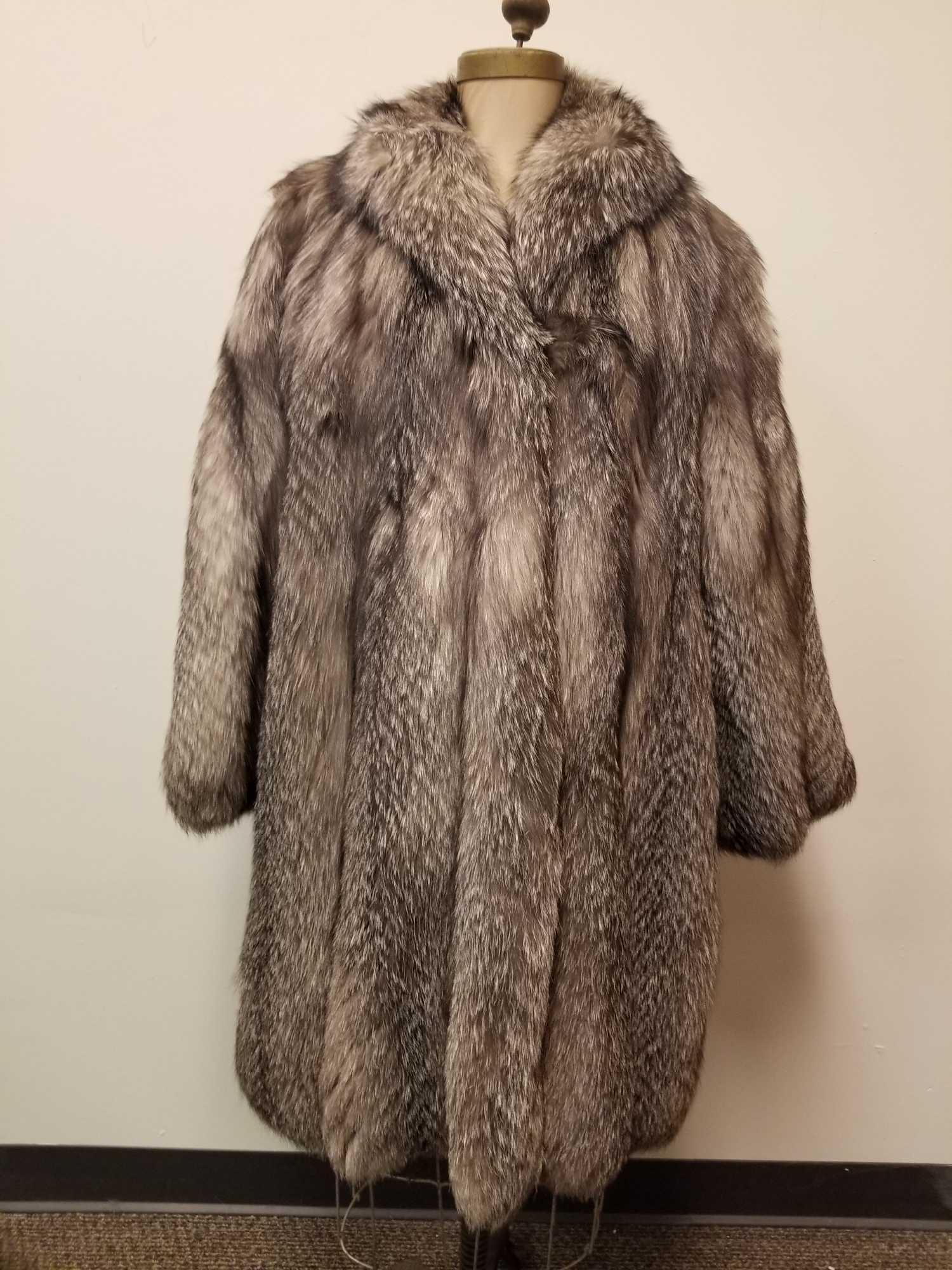 Gray Raccoon Dog Coat by Marpel 2 Torino (1 of 6)