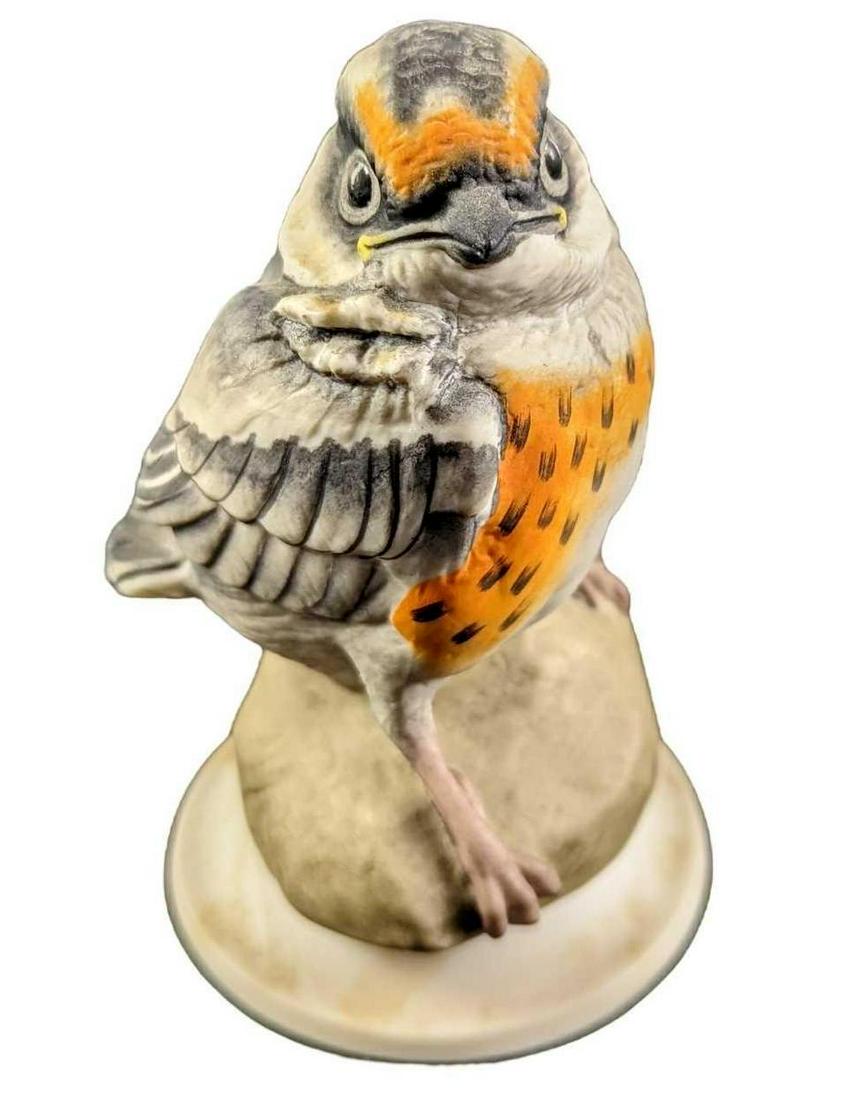 Boehm Birds Fledgling Blackburnian Warbler Porcelain Figurine (1 of 9)