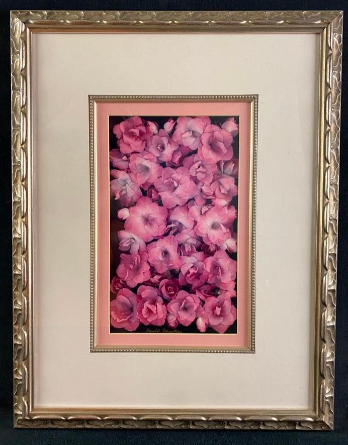 Harold Feinstein Signed Color Print "Pink Azaleas": Harold Feinstein Signed Color Print "Pink Azaleas" Color print of "Pink Azaleas" by famed photographer Harold Feinstein (1931-2015). Famous for his black and white photos of Coney Island, at the end o