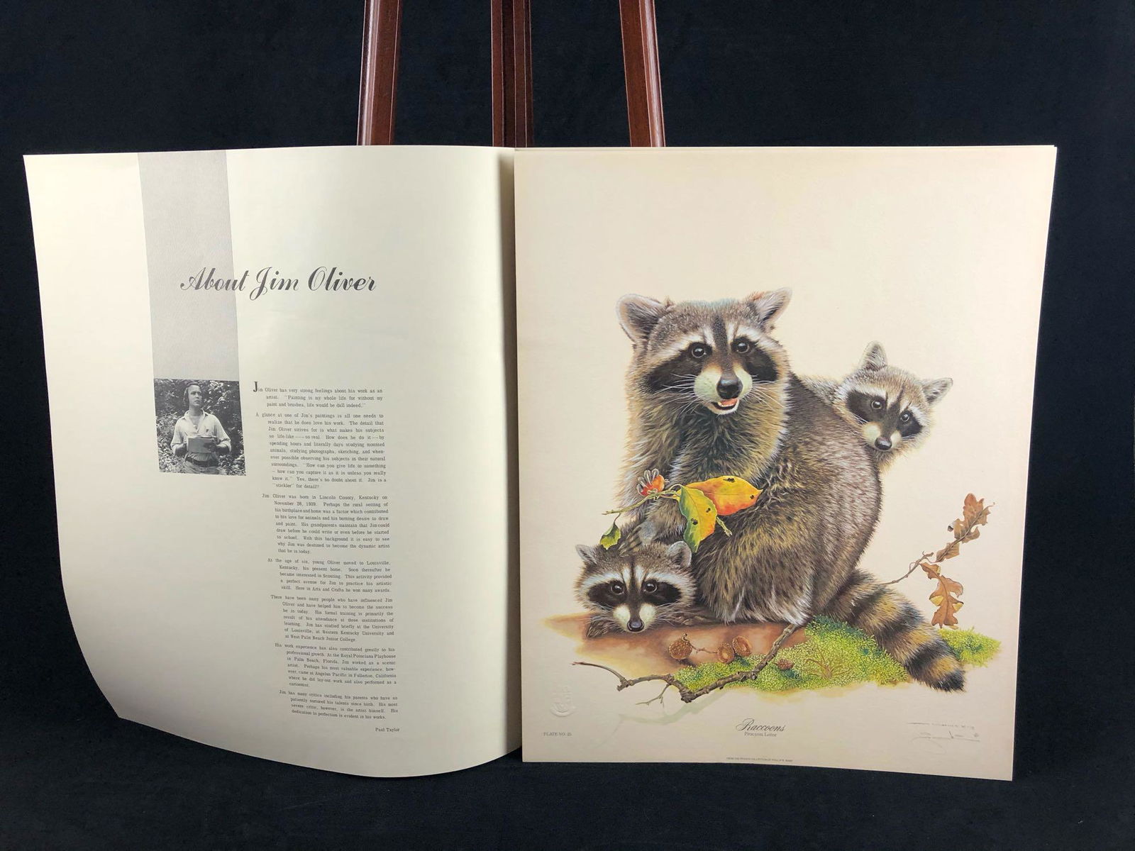 Vintage Wildlife Artist Jim Oliver "Raccoons " Signed Embossed Lithograph Print (1 of 9)