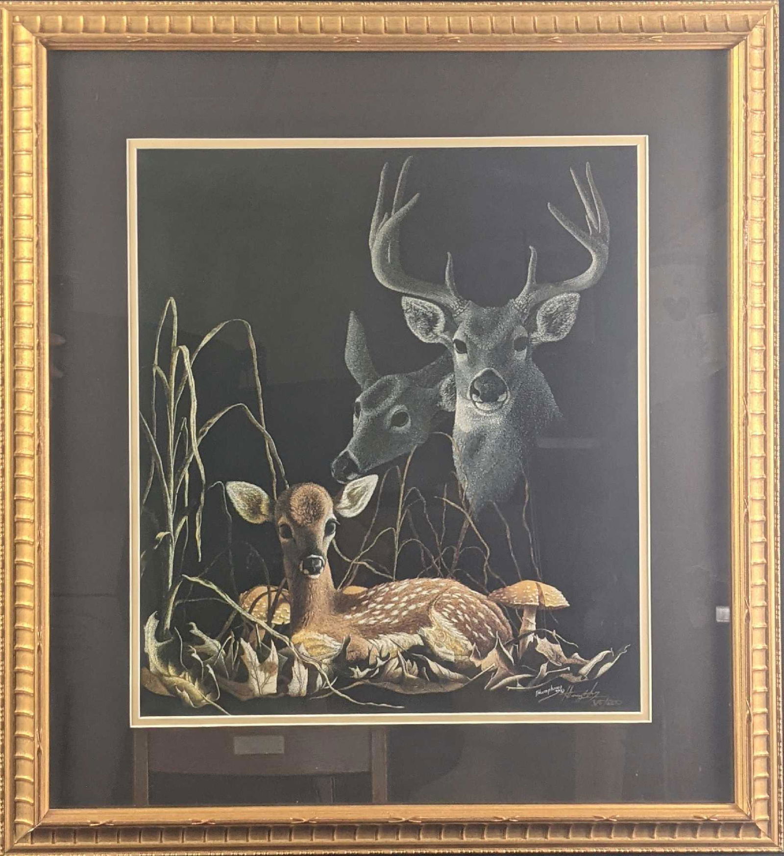 Framed Limited Edition Deer Family Print Humphrey (1 of 5)