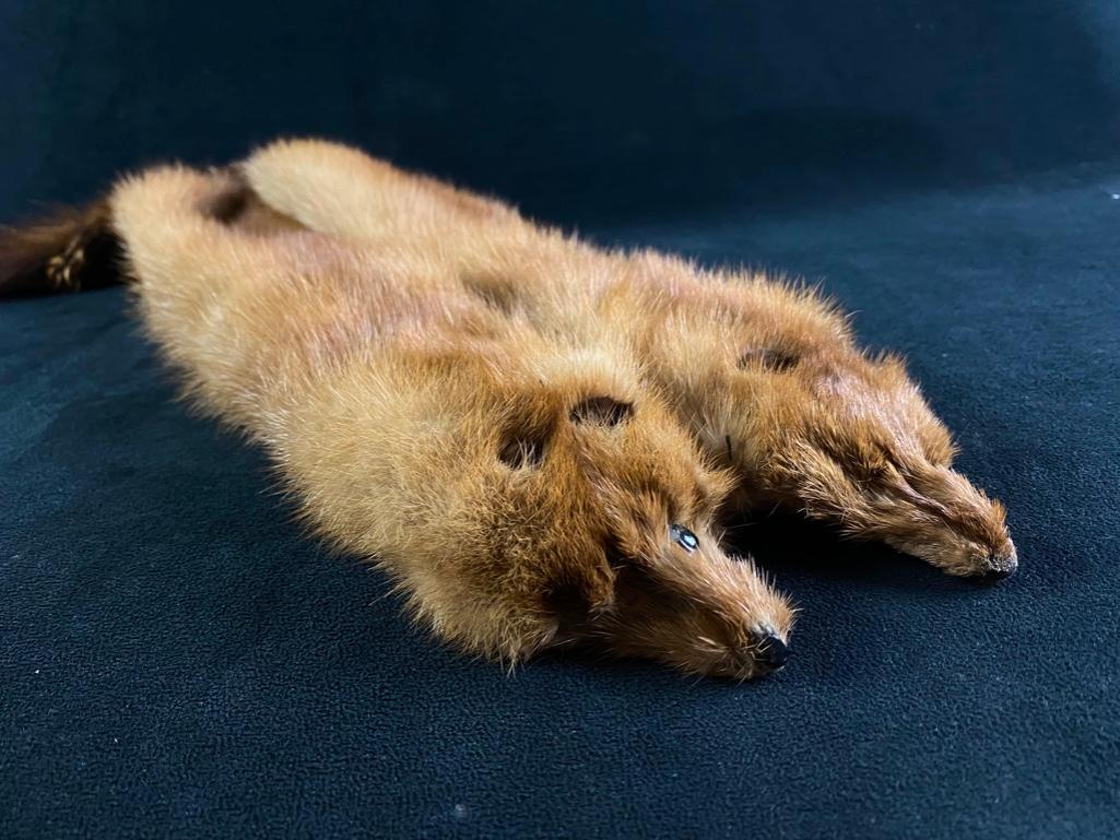 Two Mink Pelts Sewn Together (1 of 5)