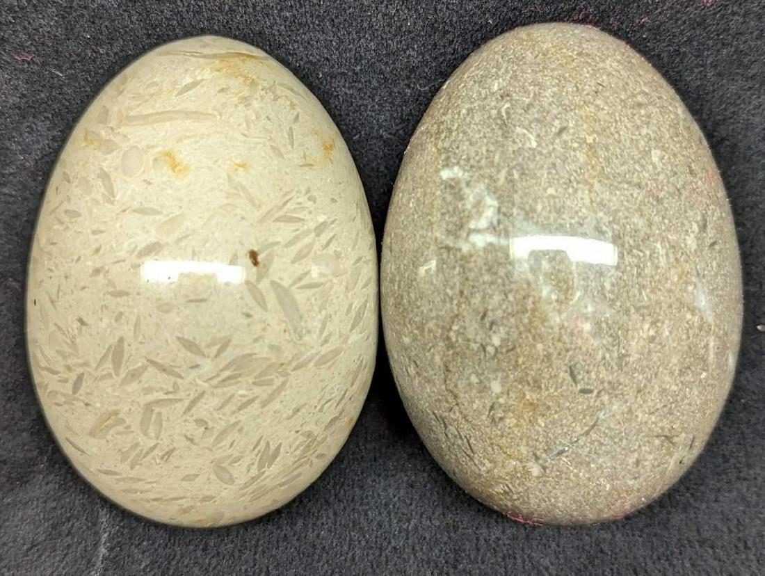 Shell Fossil Egg &  Stone Agate Gray Egg (1 of 7)