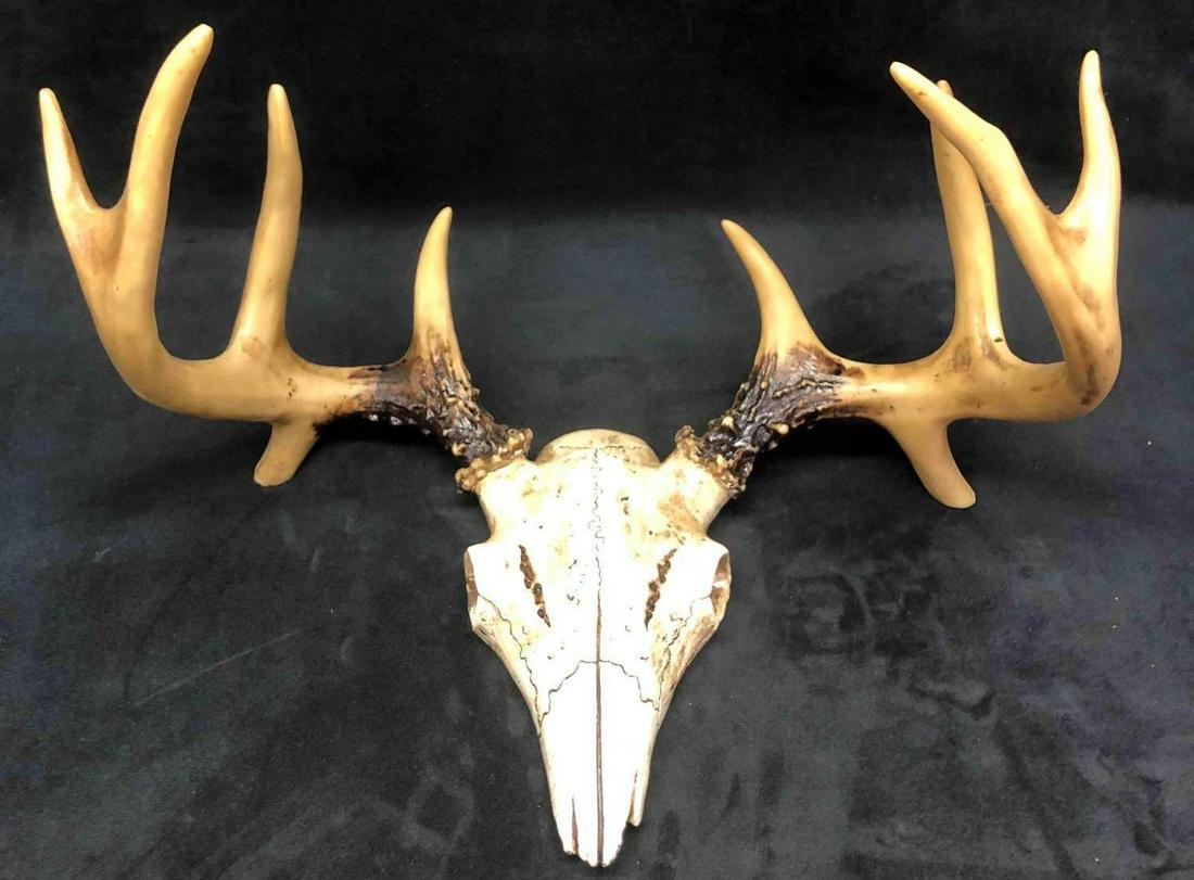 Resin Wall Sculpture Of 8 Point Buck Antlers & Skull: This lot contains a resin wall hanging sculpture of an eight point buck antlers and skull. Perfect for any man cave or southern style home. It is approx. 8 1/2" x 15" x 10 1/2" and weighs