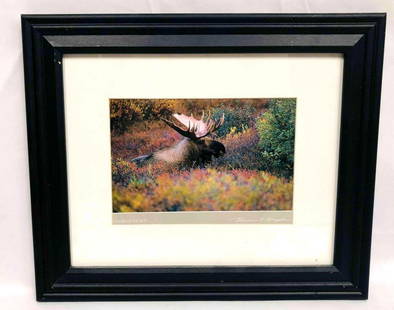 "Colors Of The Rut" Thomas D. Mangelsen Photo Print: This lot contains "Colors Of The Rut" Thomas D. Mangelsen Photo Print. The frame is approx 10 1/4" x 12 1/4" while the print itself is approx 4 3/4" x 6 1/2" and it weighs abou