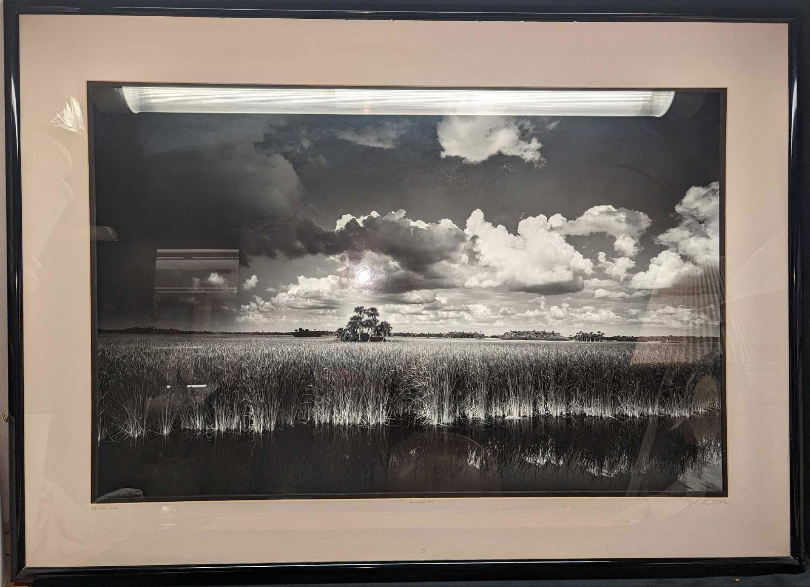 Framed S&n Clyde Butcher Ochopee 3 Photo Print Auction