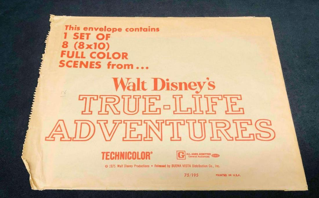 8 Walt Disney's True-Life Adventures Lobby Cards 1975 (1 of 13)