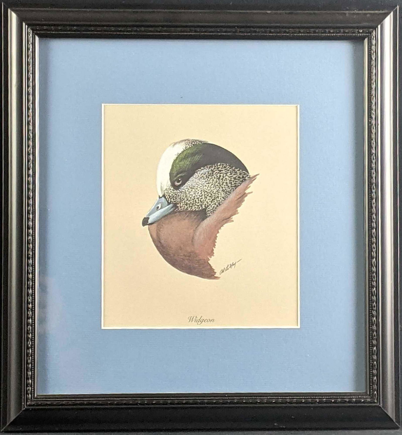 Framed Bird Art Print Widgeon Duck Print (1 of 5)
