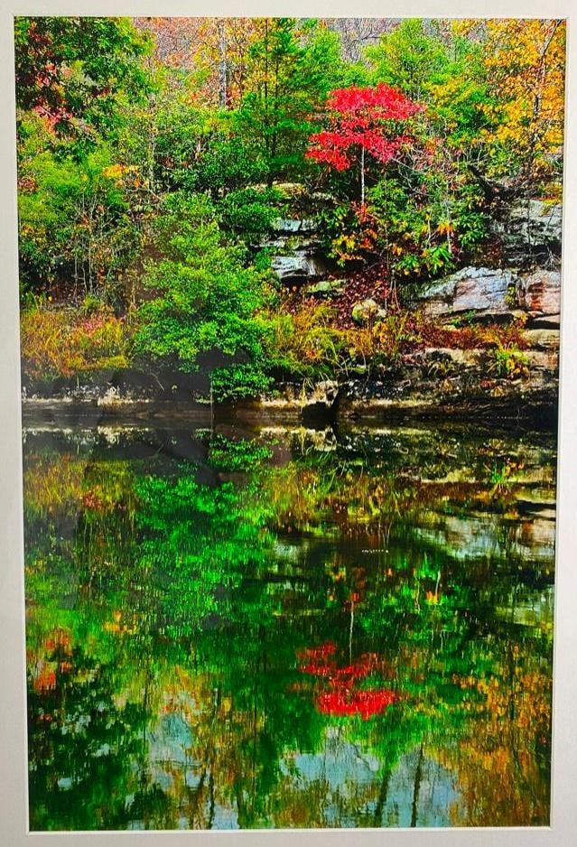 Fall Pond Photo in White Framed (1 of 5)
