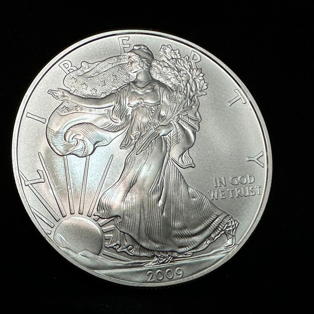 2009 US Mint Silver Eagle (1 of 2)