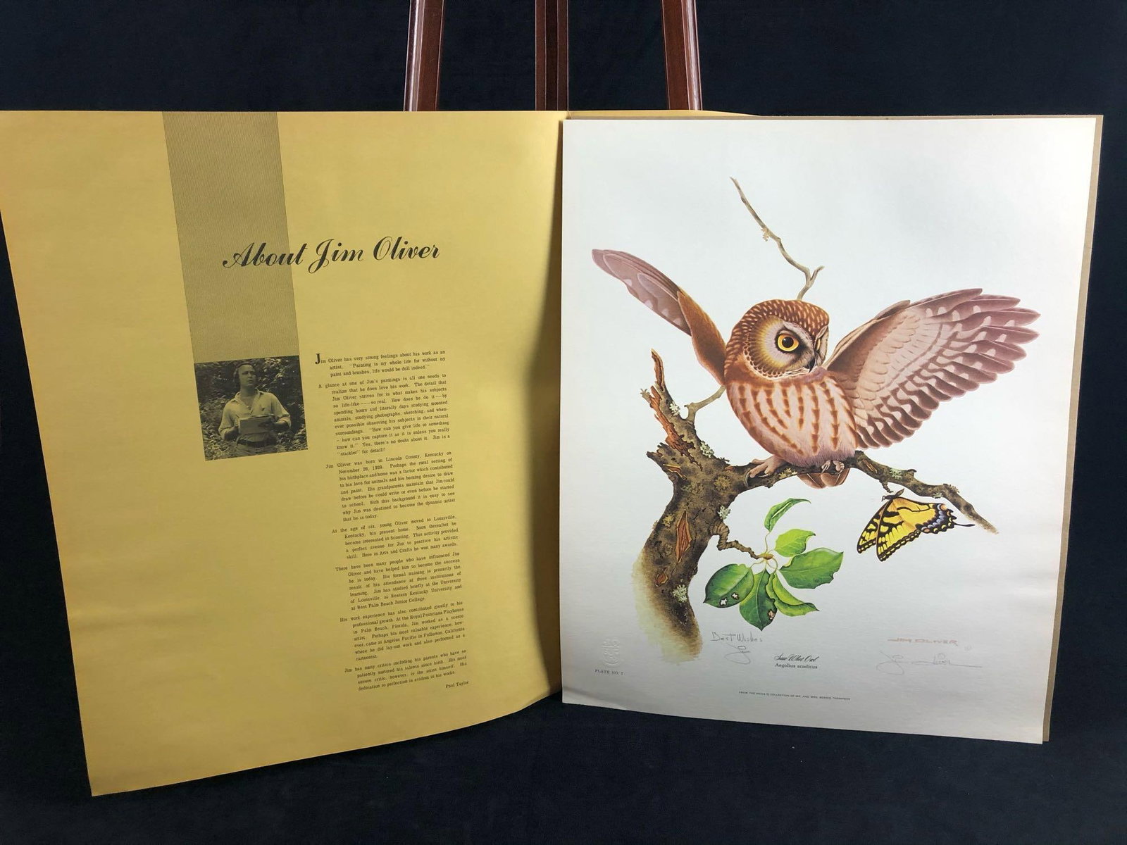 Vintage Wildlife Artist Jim Oliver "Saw Whet Owl " Signed Embossed Lithograph Print (1 of 11)