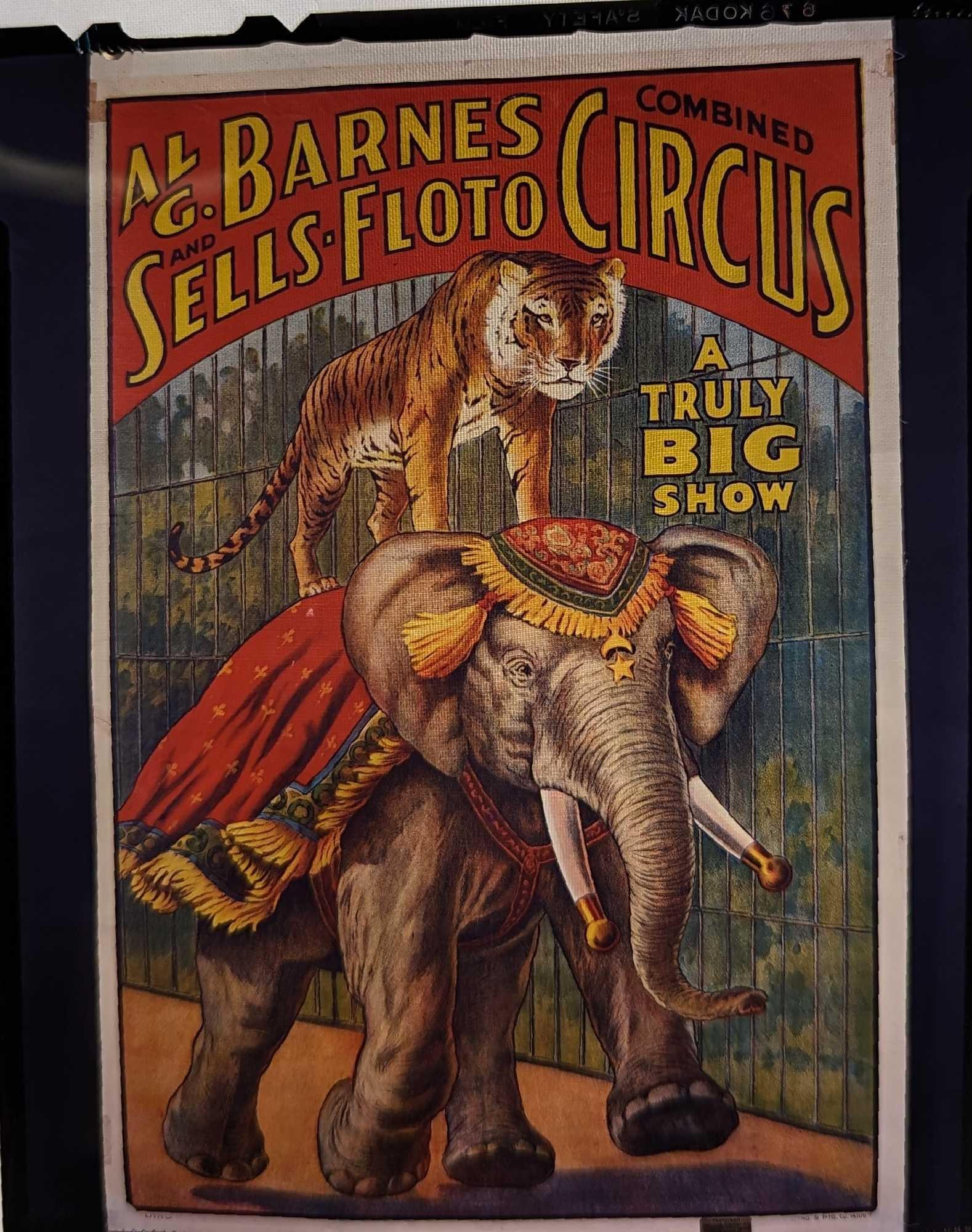 Kodak Transparent 4 X 5 Al G. Barnes Circus Elephant & Tiger (1 of 3)