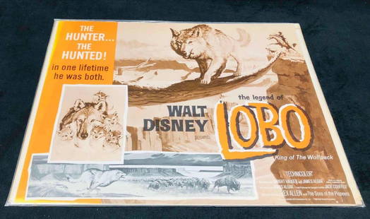 8 Lobby Cards Walt Disney The Legend Of Lobo King Of The WolfPack 1962: This lot contains 8 Lobby Cards Walt Disney The Legend Of Lobo King Of The Wolfpack 1962. It is approx 11" x 14" and it weighs about 0.3lbs. Overall the set is in good used condition with some