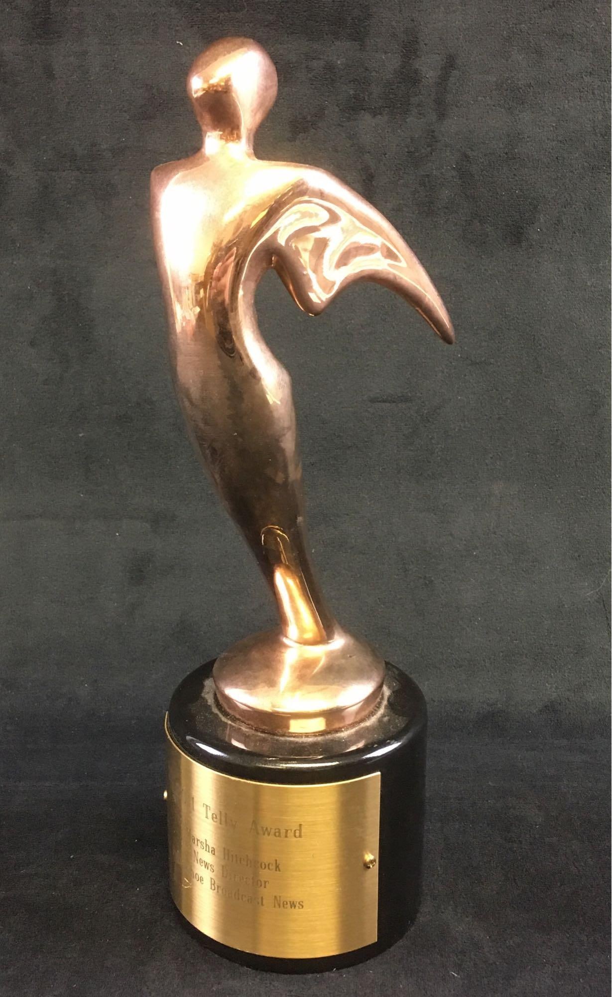 2011 Telly Award (1 of 5)