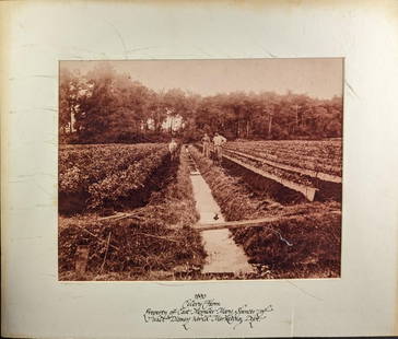 Walt Disney Cast Member Ancestor Farm Photo: Here is a blown-up copy of an old photo from 1890. It states it as "1890 Celery Farm Property Of Cast Member Mary Spencer Of Walt Disney World Marketing Dept.". It appears Disney encouraged ca