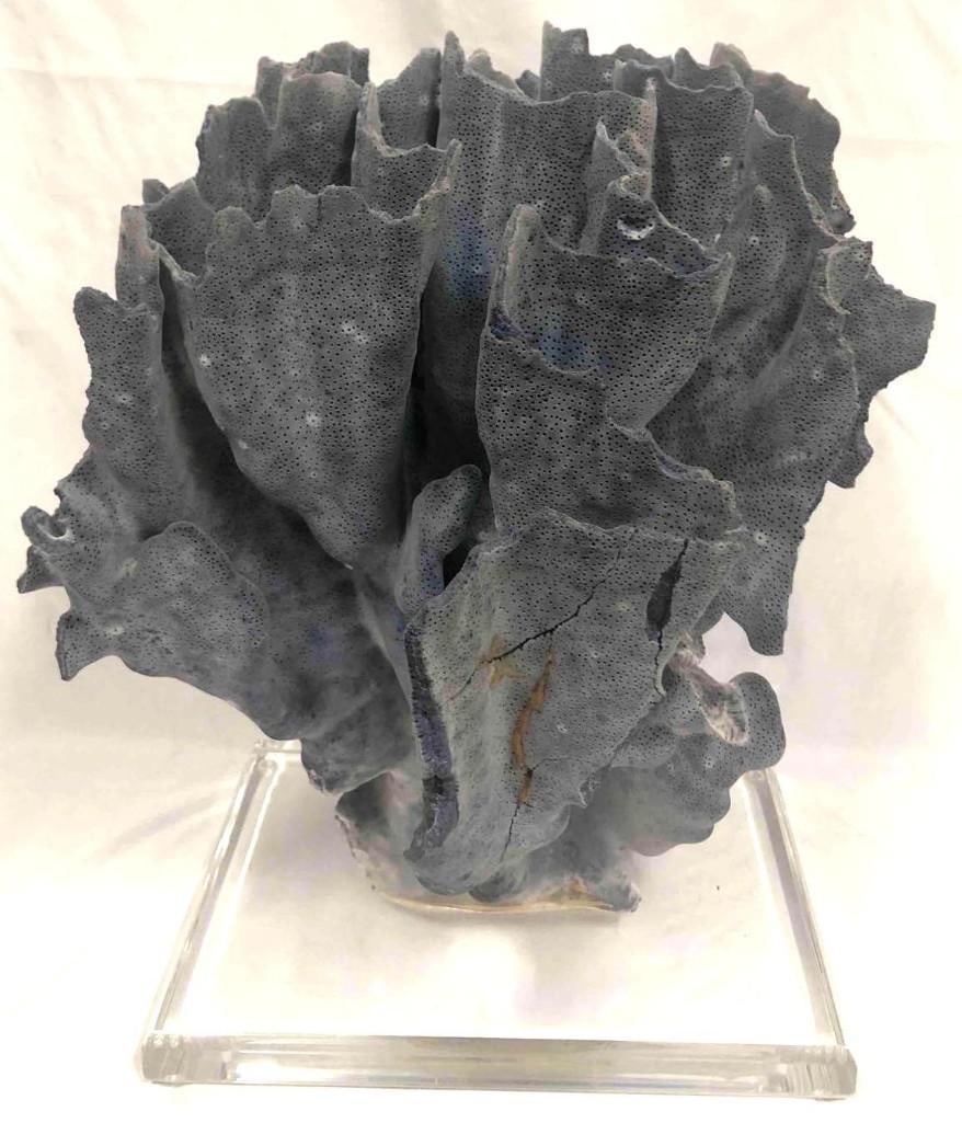 Blue Coral Sculpture Art Table Decor (1 of 7)