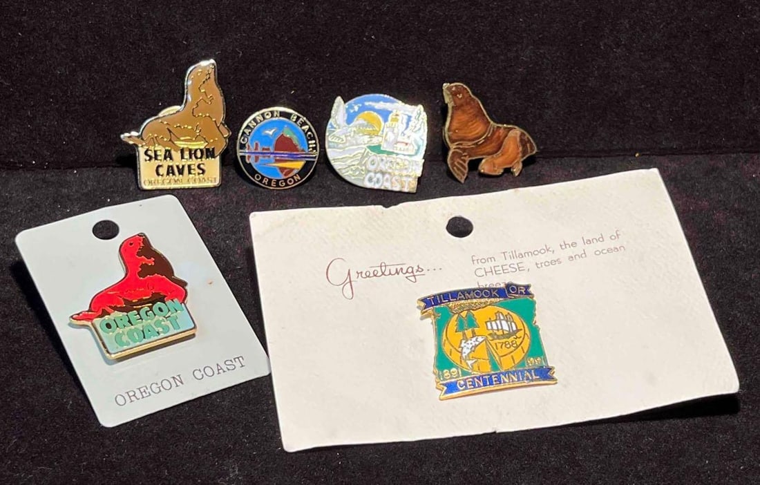 Vintage Oregon Pin Bundle (F18): This lot contains a Vintage Oregon Pin Bundle (F18). The pins fit together in a small 6 3/4" x 4 1/4" plastic bag and altogether they weigh about 0.07lbs. Overall the pins are in good used con