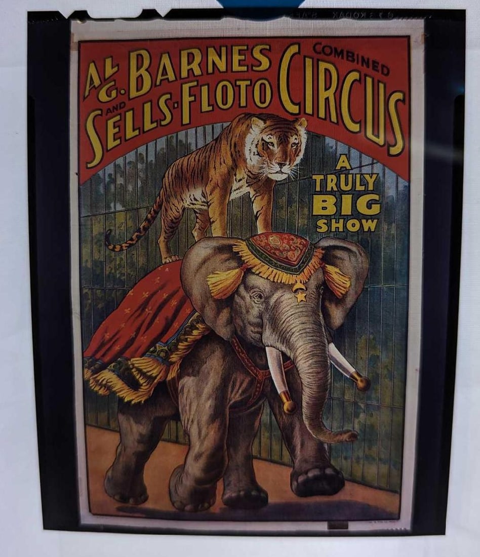 Kodak Transparent 4 X 5 Al G. Barnes Circus Elephant & Tiger (1 of 3)