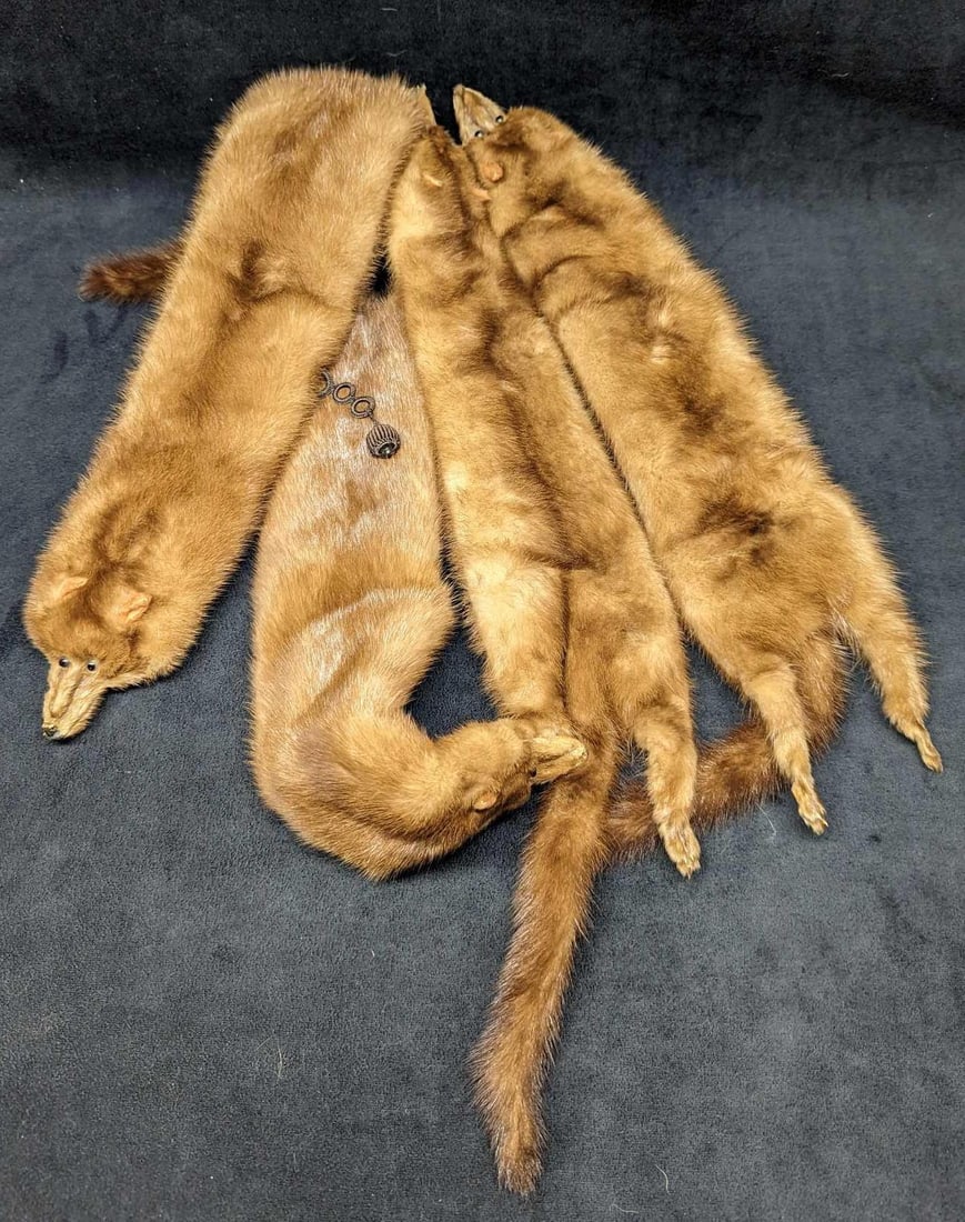Vintage Strutin's Furs Full Sized Mink Shawl Stole H19 (1 of 8)