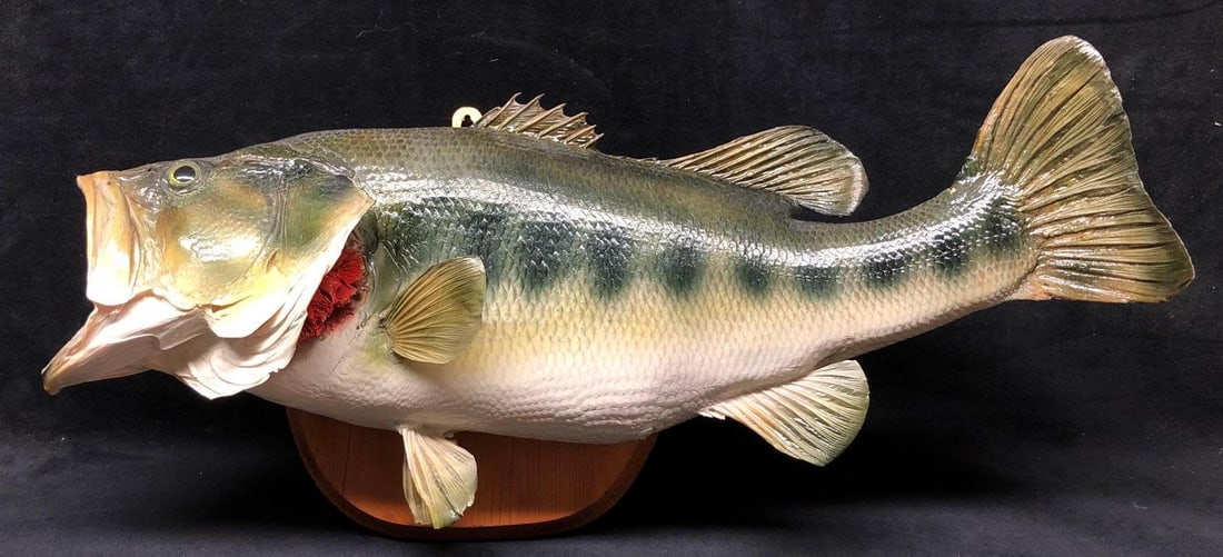 Vintage Real Skin Largemouth Bass Trophy Fish (1 of 8)