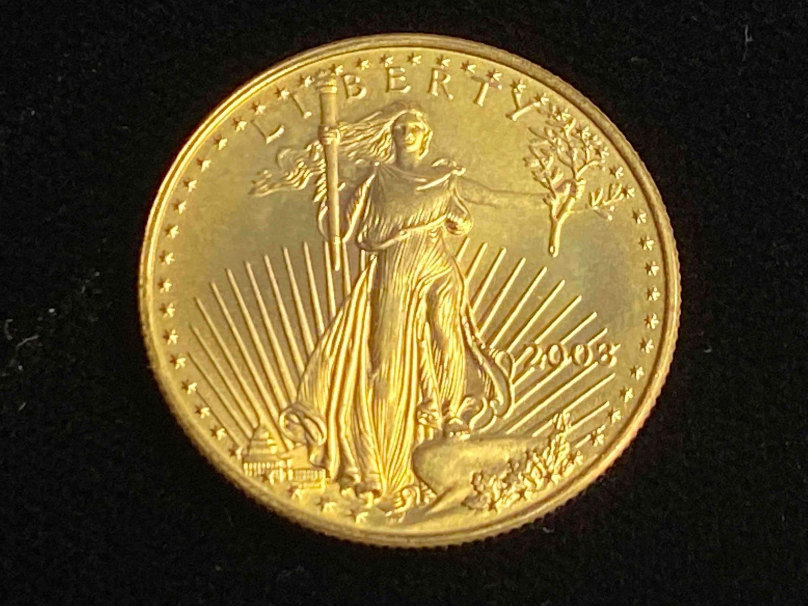 1/2 oz 2003 Gold American Eagle $25 Coin BU (1 of 4)