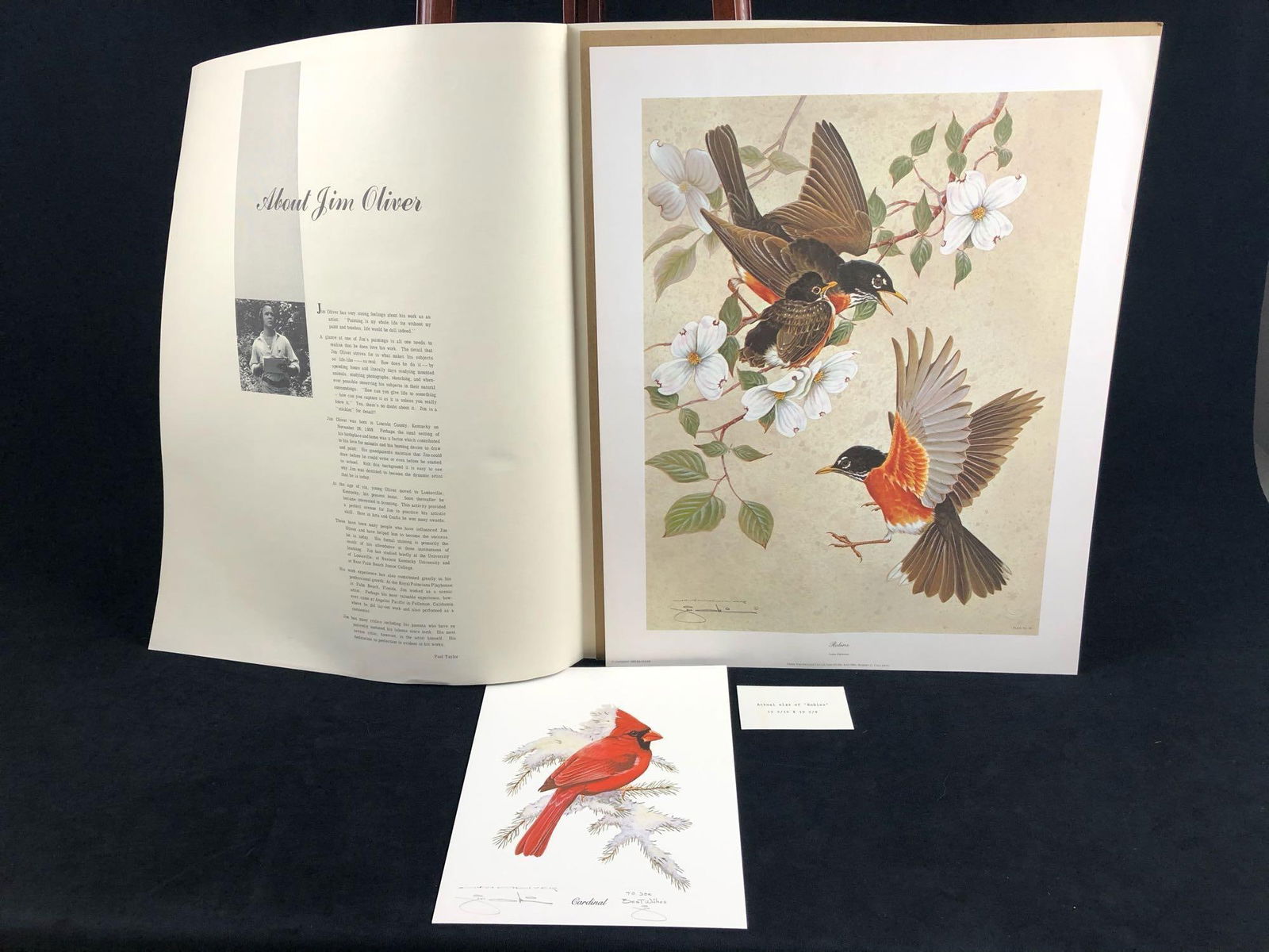 Vintage Wildlife Artist Jim Oliver "Robins " Signed Embossed Lithograph Print & Bonus (1 of 15)