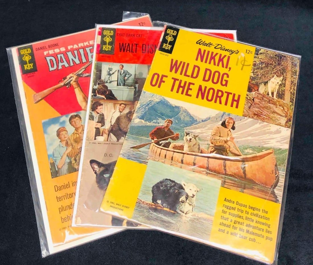 Three Gold Key Comic Books Daniel Boone, Nikki Wild Dog Of The North, & That Darn Cat (1 of 20)