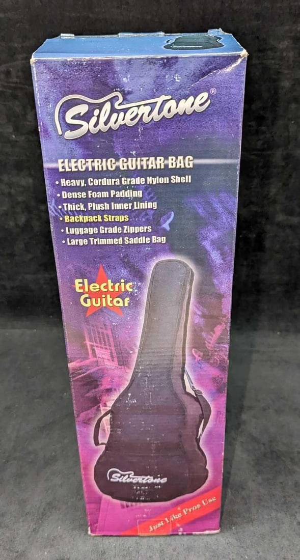 Silvertone Sealed Electric Guitar Bag B (1 of 6)