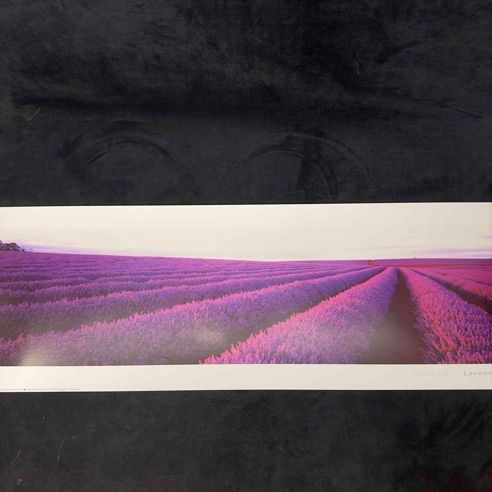 Peter Lik Lavendar Fields Lithograph Nabowla Tasmania Australia Litho (1 of 10)