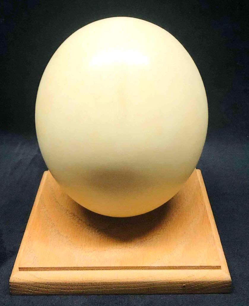 Genuine Ostrich Egg On Wooden Stand/Base (1 of 6)