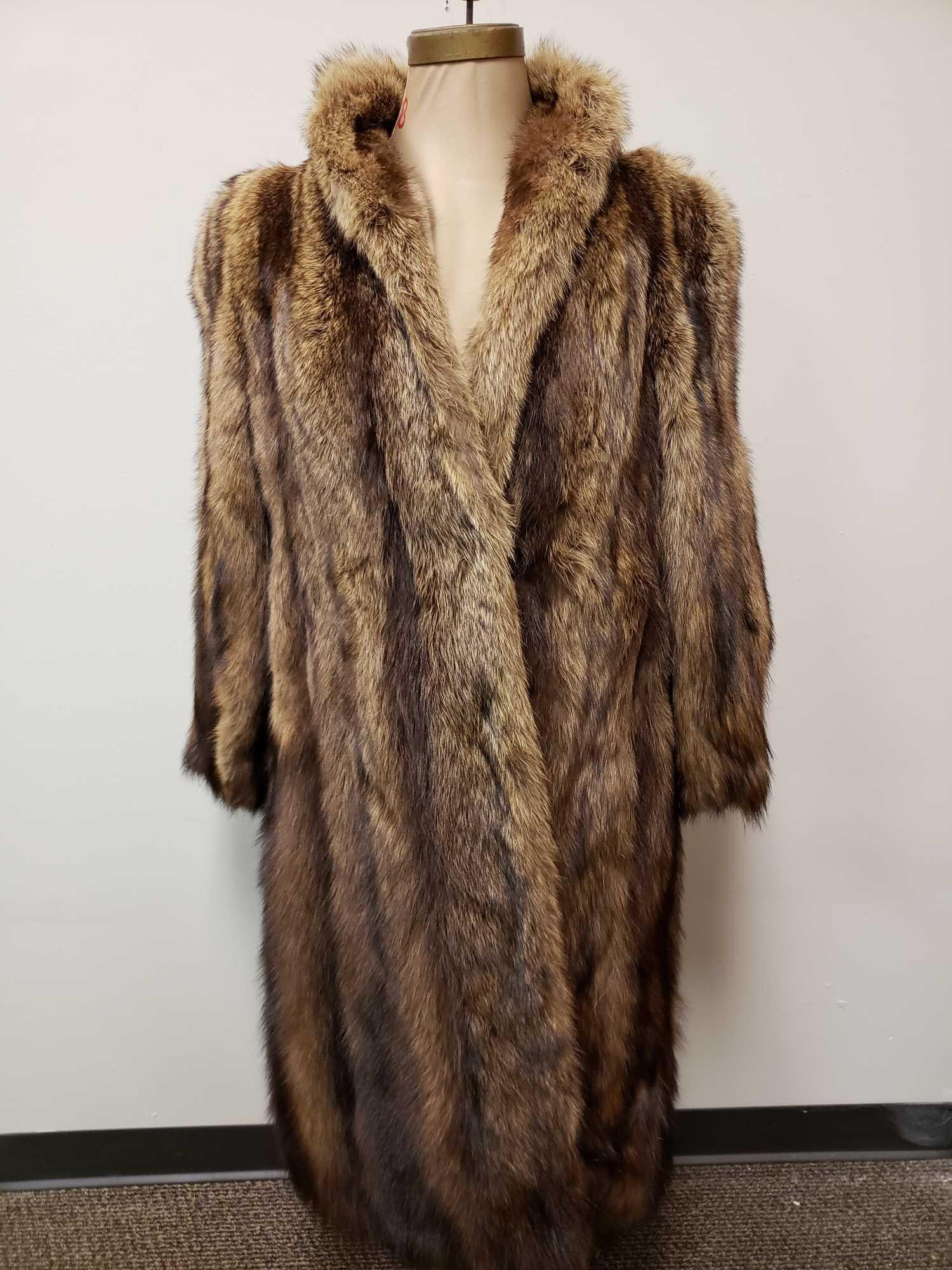 Fisher Fur Coat (1 of 5)