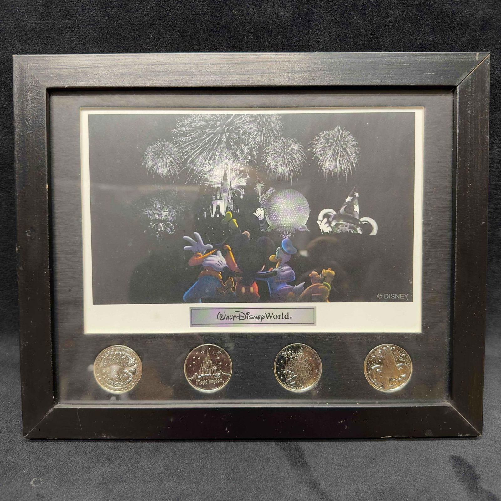 Walt Disney World Theme Park Icons Fab 5 Lithograph and Four Parks Coin Framed Set (1 of 9)