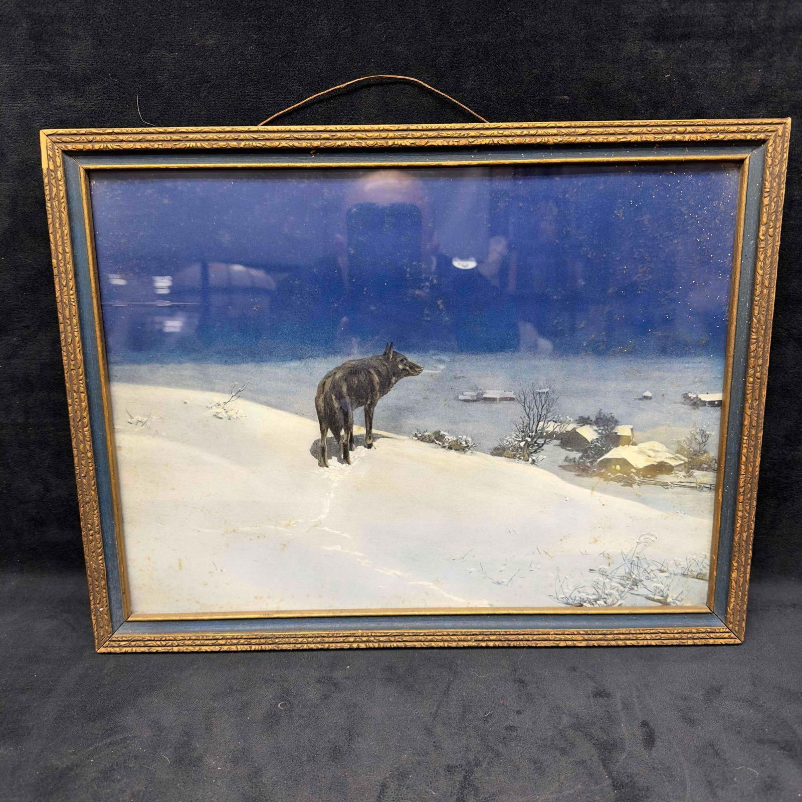 Winter Night Lone Wolf Snowy Town Snow Blue Sky Landscape Framed Print (1 of 10)