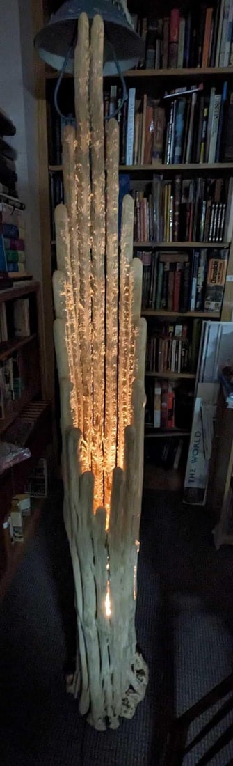 Saguaro Cactus Rib Trunk 71" Floor Lamp F91 (1 of 6)