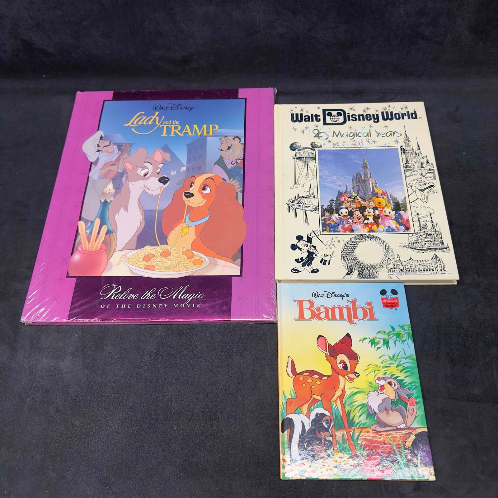 Disney Books Collection Set Lot of Three 3 Walt Disney World 20 Magical Years Lady and the Tramp (1 of 5)