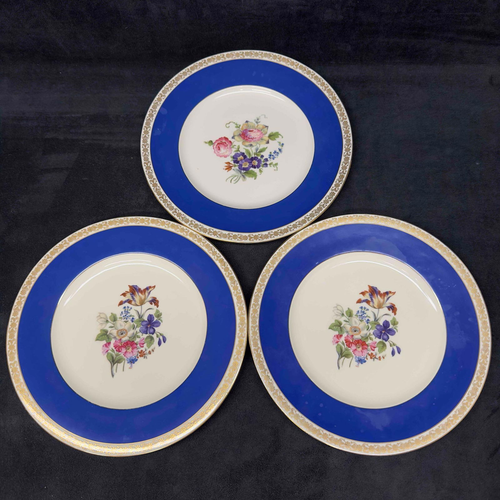 Schlaggenwald Czech H & C Porcelain Blue Floral Dinner Plate Set Lot of Three 3 Plates (1 of 7)