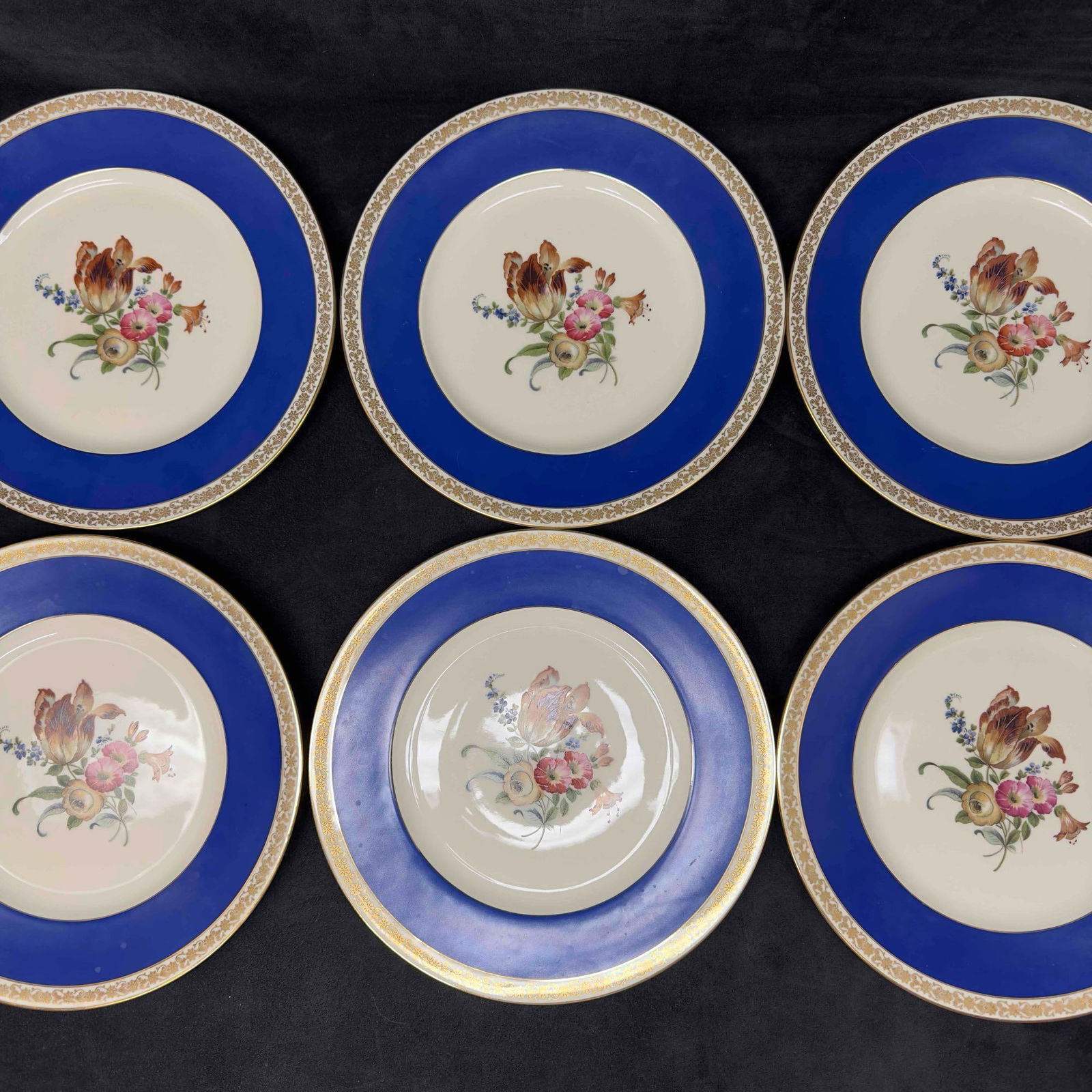 Schlaggenwald Czech H & C Porcelain Blue Flower Dinner Plate Set Lot of Six 6 Plates (1 of 8)