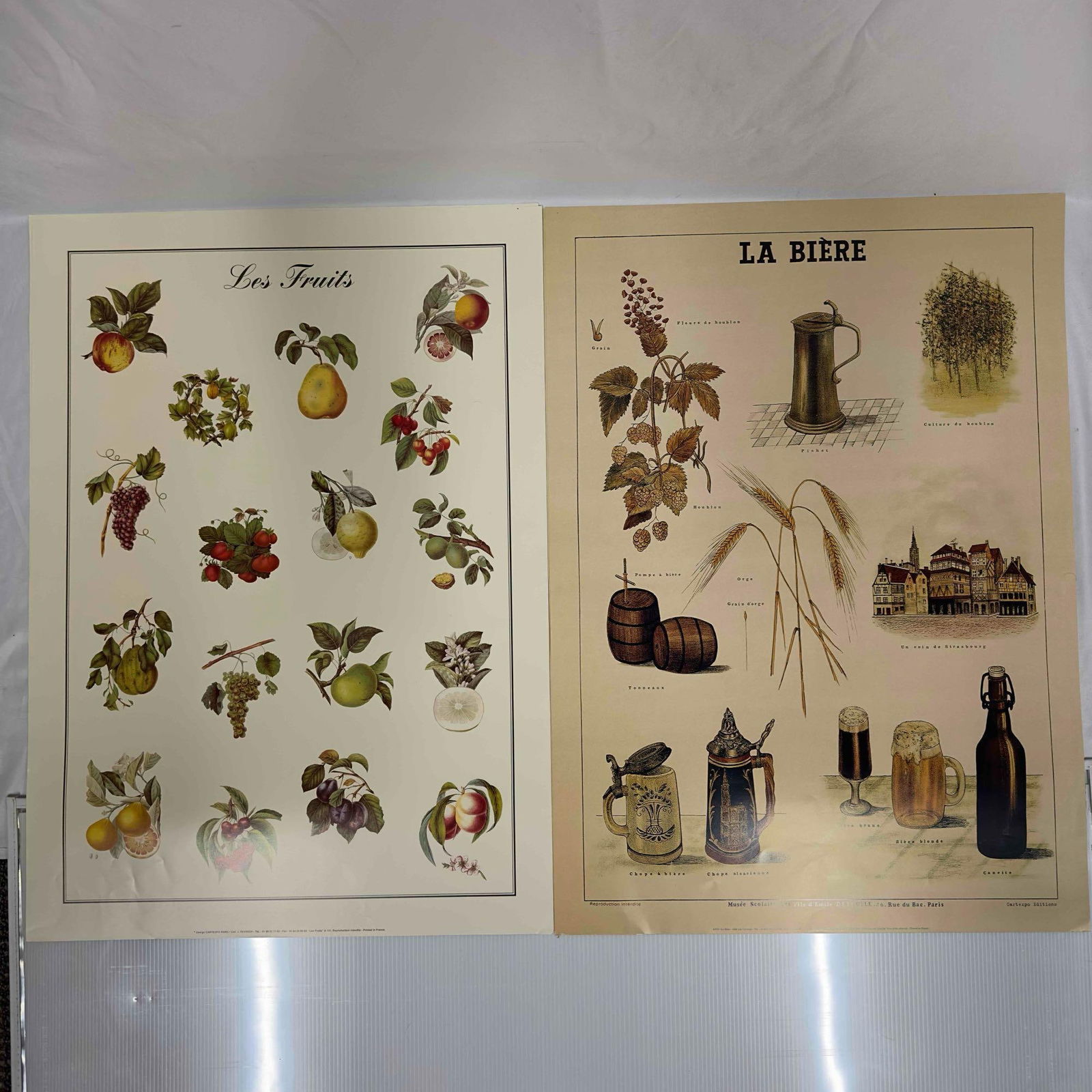 French Beer Fruits Ad Poster Cartexpo Vintage Advertisement Posters Print Set Collection (1 of 9)