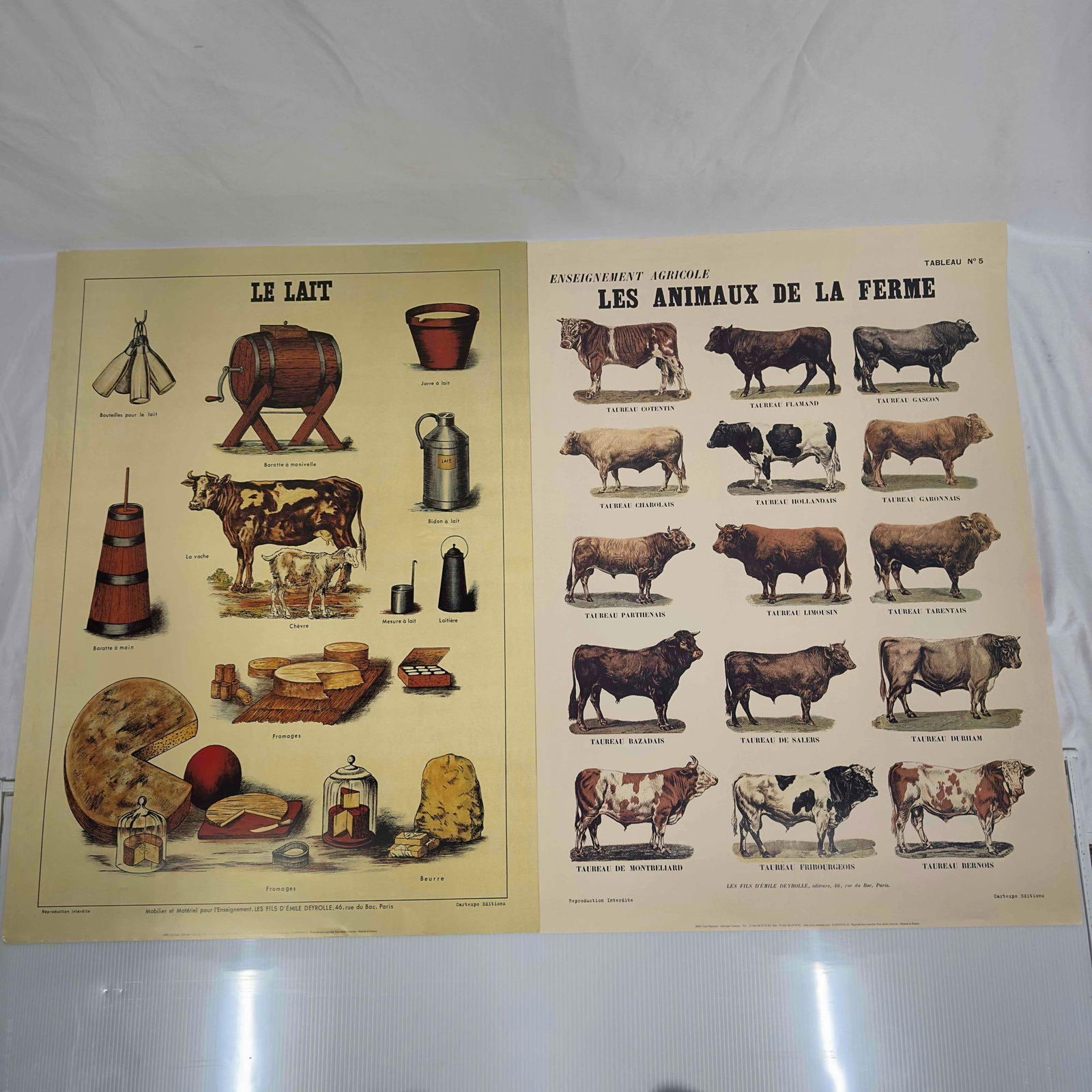 French Ad Poster Cartexpo Vintage Advertisement Posters Print Set Collection Le Lait (1 of 8)