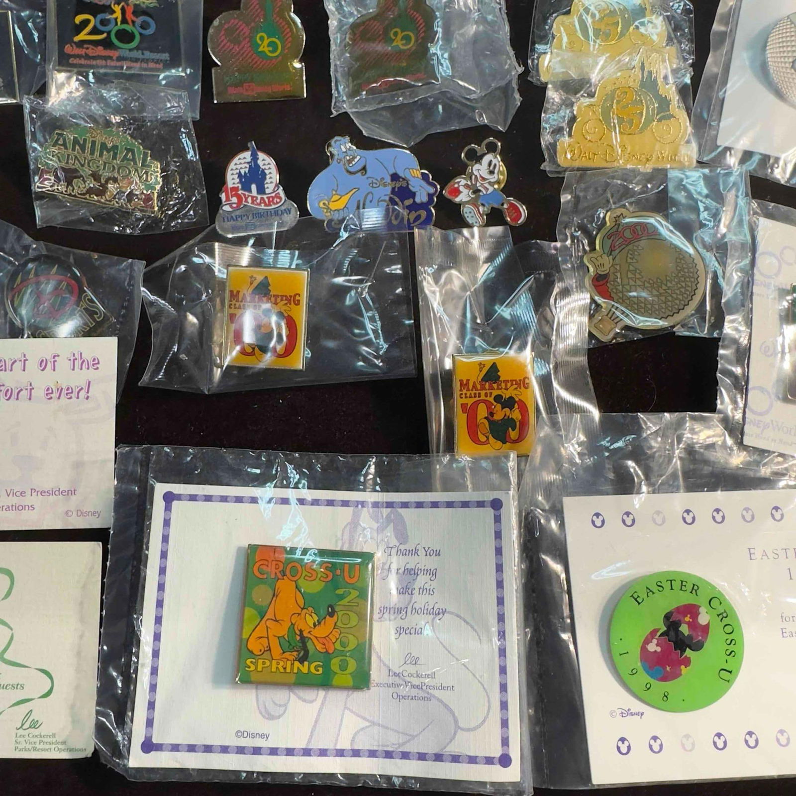 Disney Cast Member Pin Collection Set Lot of Twenty Six 26 Pins (1 of 10)