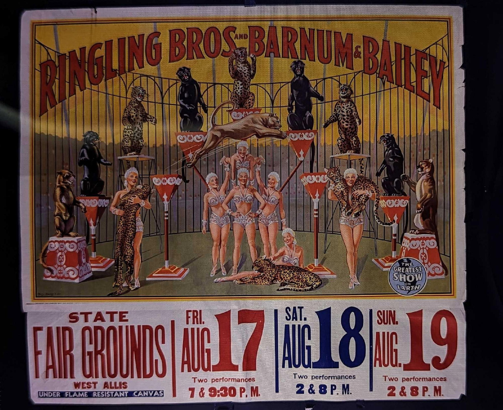 Kodak Transparency 4 X 5 Barnum & Bailey Cat Show B: Kodak Transparency 4 X 5 Barnum & Bailey Cat Show B. Here is a transparency poster that can be made into prints with the right equipment. This is a copy of a poster for the Ringing Bros & Barn