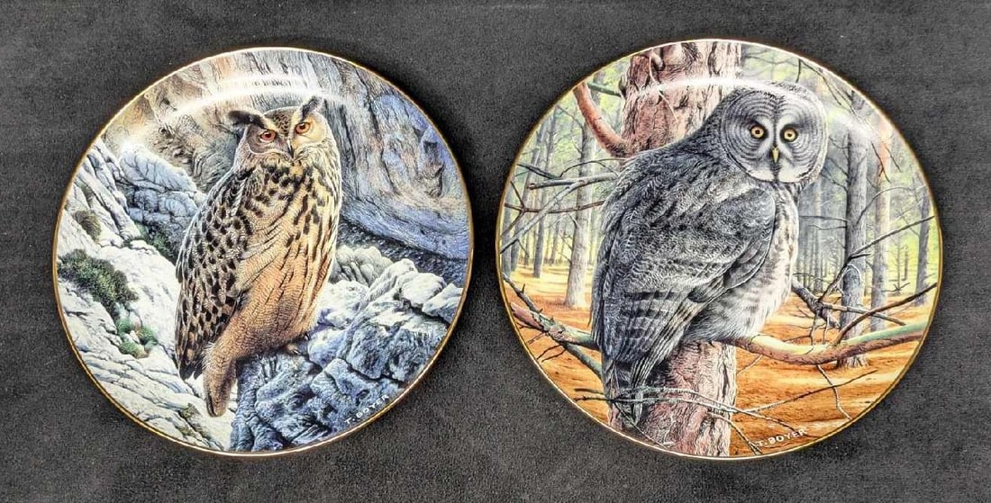 2 Majesty Of Owls Plates Grey Ghost &  Mountain Vigil (1 of 6)