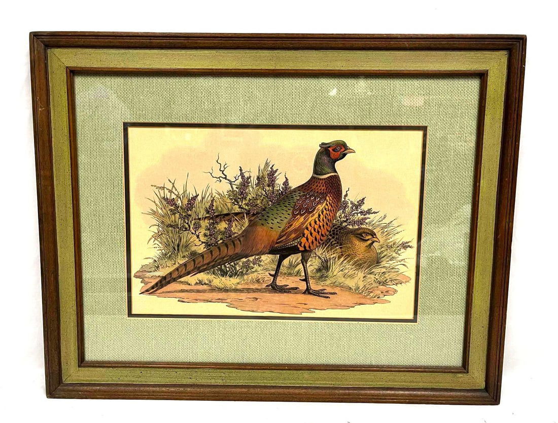 Vintage Framed Pheasant Print By Taft Interiors (1 of 4)