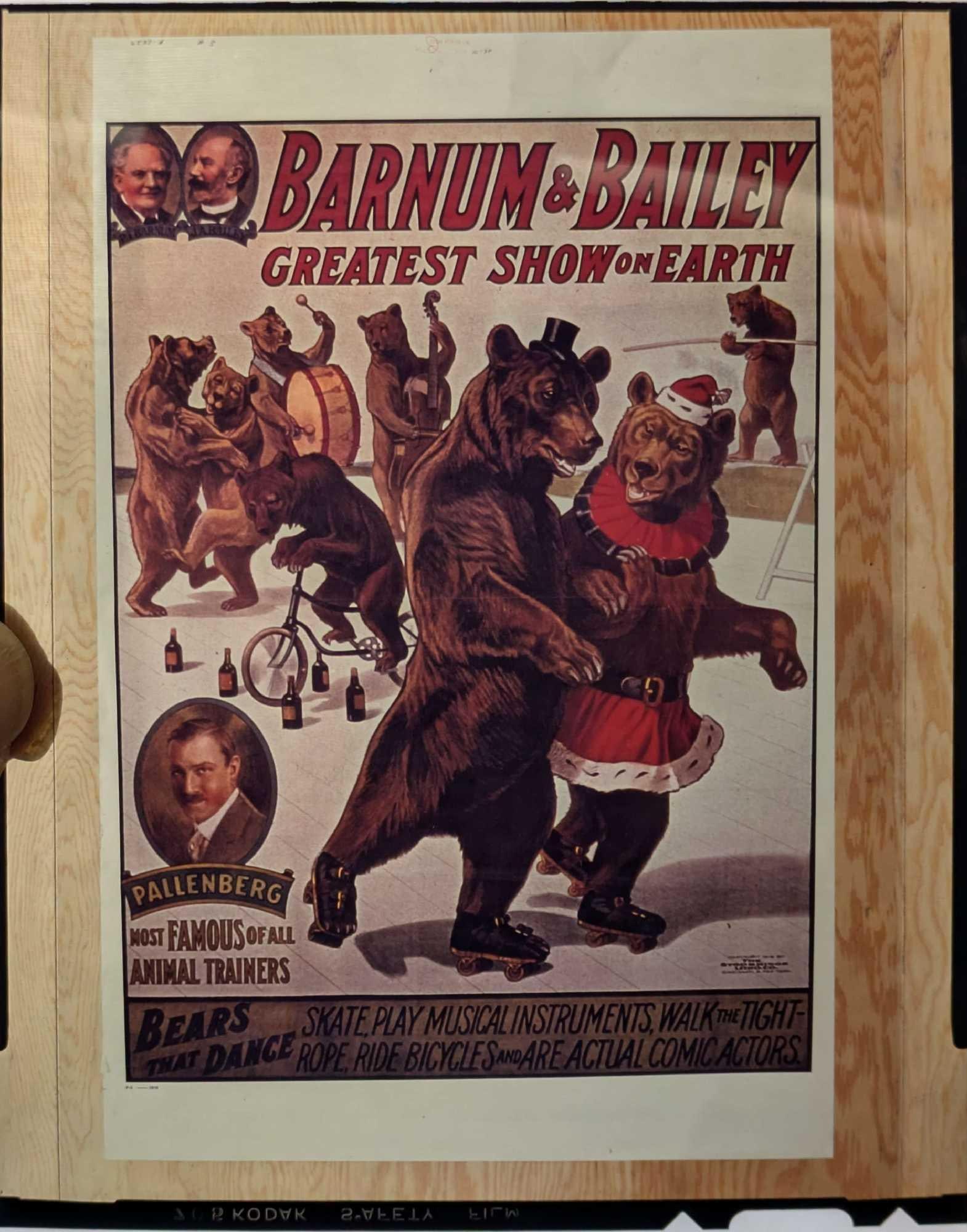 Kodak Transparent 4 X 5 Barnum & Bailey Bears B (1 of 2)