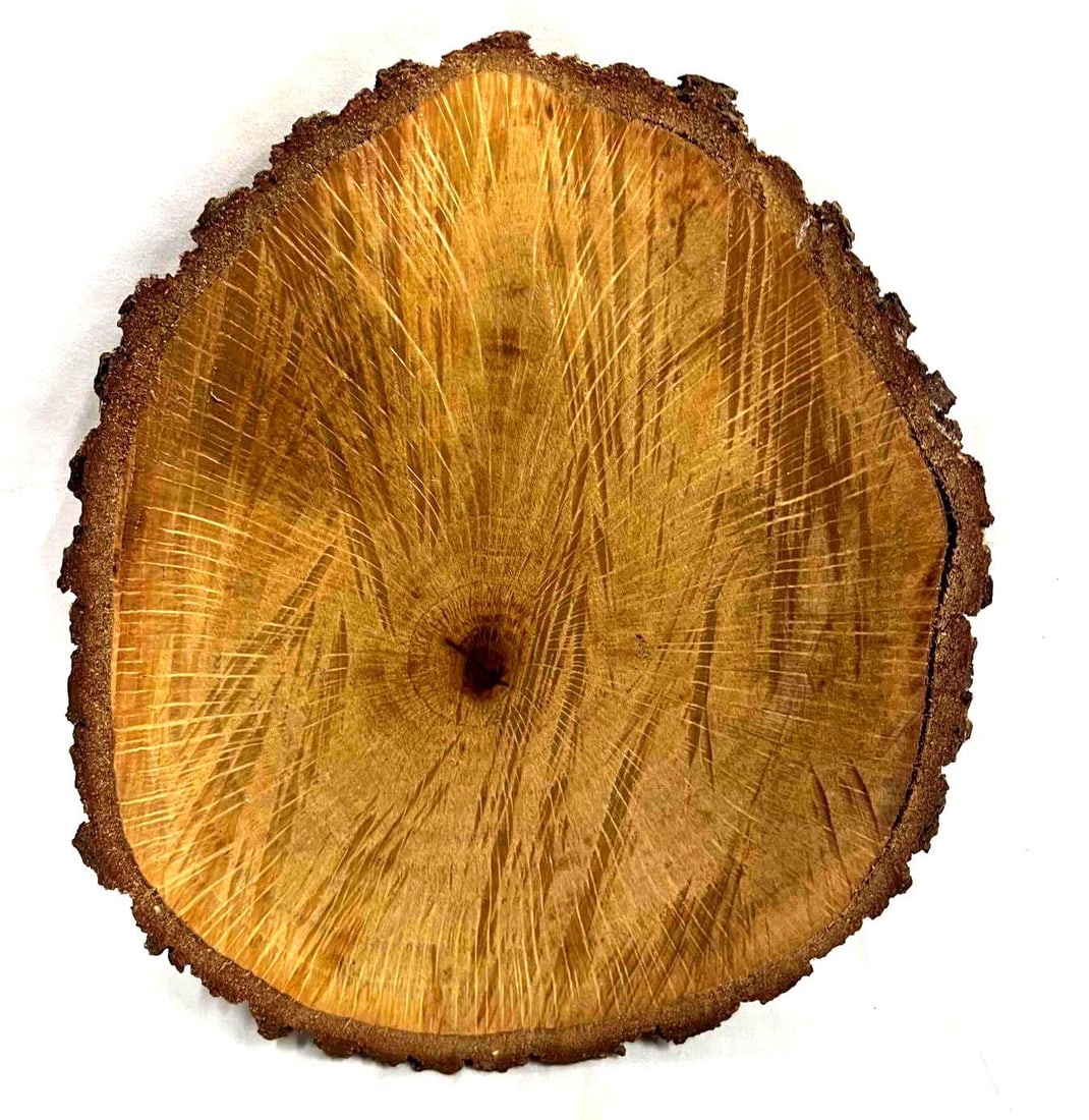 Oak Wood Log Circle Slab: This lot contains a Oak Wood Log Slab. It is approx 9 1/4" x 8 1/4" x 3/4" and it weighs about 1.3lbs. Overall the Wood log slab is in good used condition with some light wear from use over time. See 
